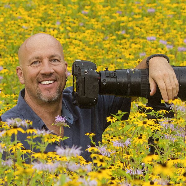 Steve Gettle