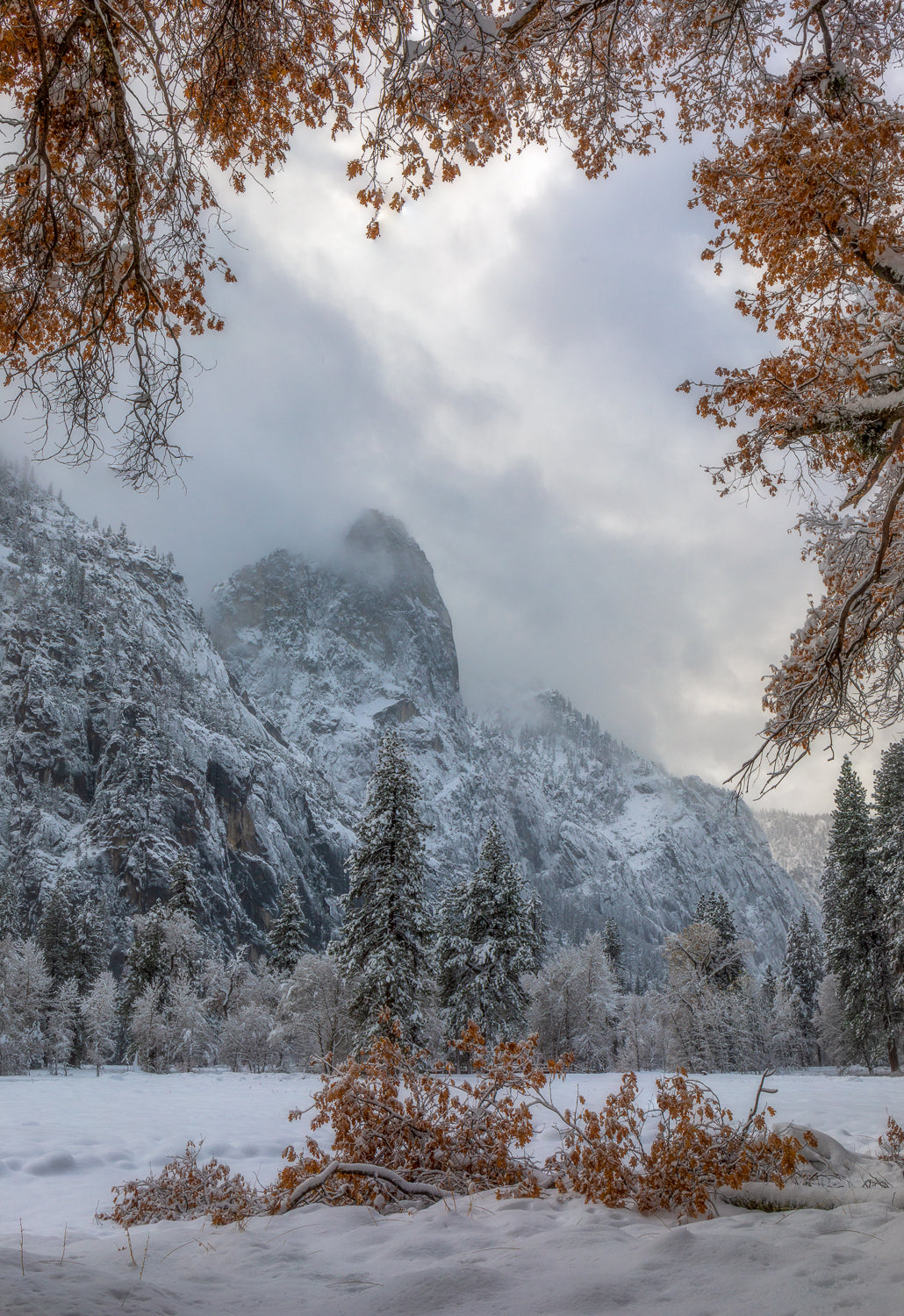 Snowy mountain landscape with trees and a cloudy sky Beth Young